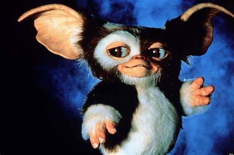 Gremlin and. Things To Know About Gremlin and. 